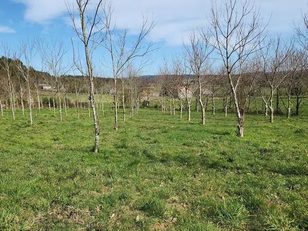 Finca rústica en Piolla s/n - Foto 4