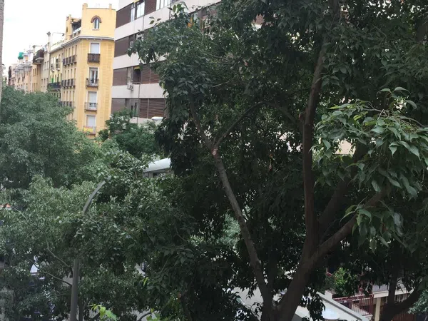 Piso en calle de Andres Mellado, 36