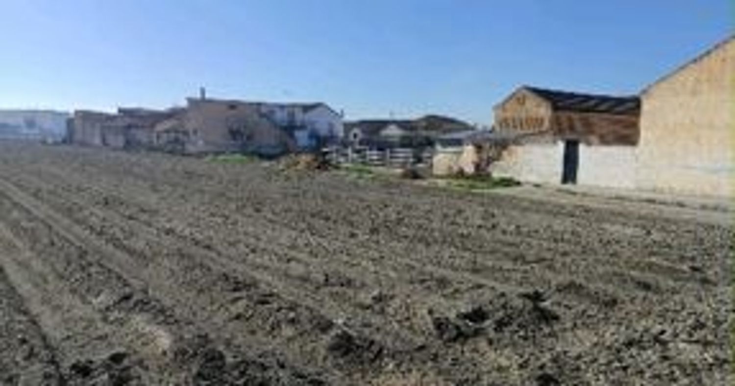 Finca rústica en Avenida de Andalucía, 156 - Foto 3