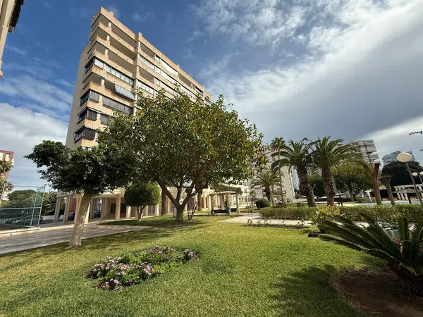 Piso en Avenida de Holanda, 14, Playa de San Juan - Foto 21