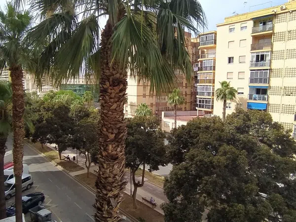 Piso en Calle Ingeniero de la Torre Acosta s/n, Carranque - Haza Cuevas - Foto 5