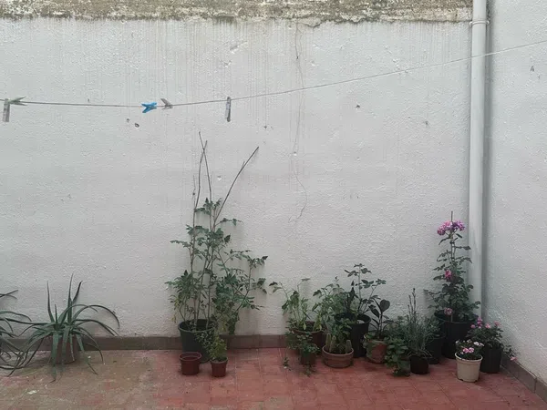 Piso en Calle Martínez Molina, 26, Ctra. Circunvalación - La Magdalena, Ctra. Circunvalación - La Magdalena - Foto 10
