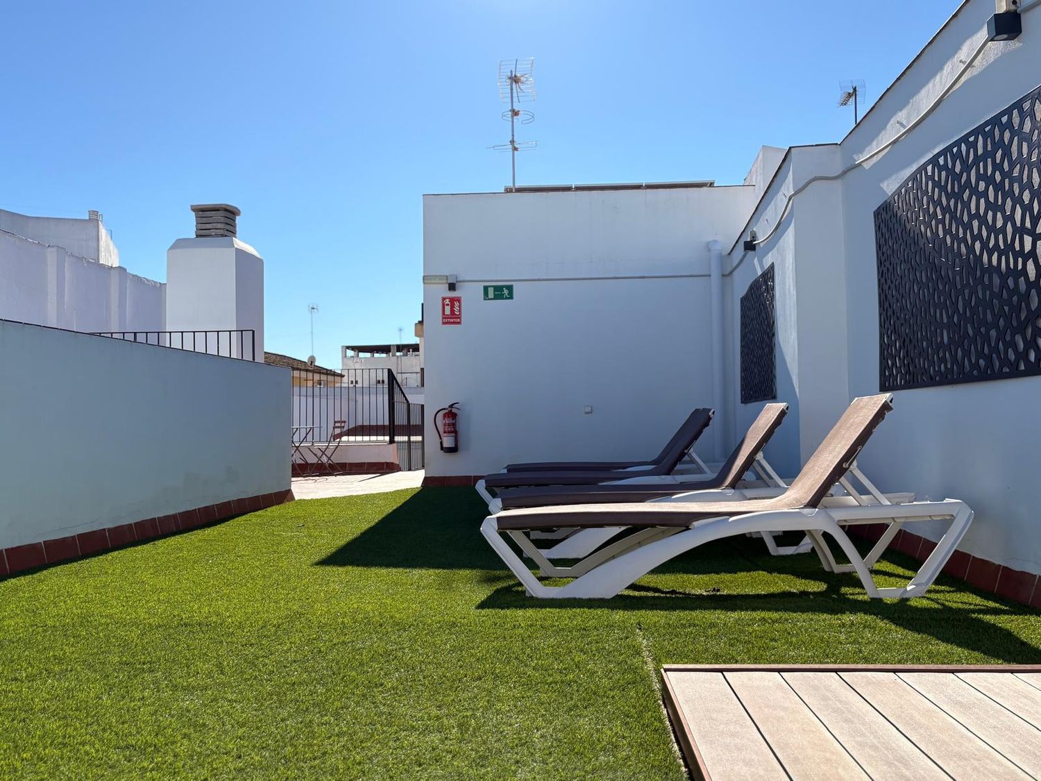Piso en Calle Arcos, 27, Centro - Foto 10