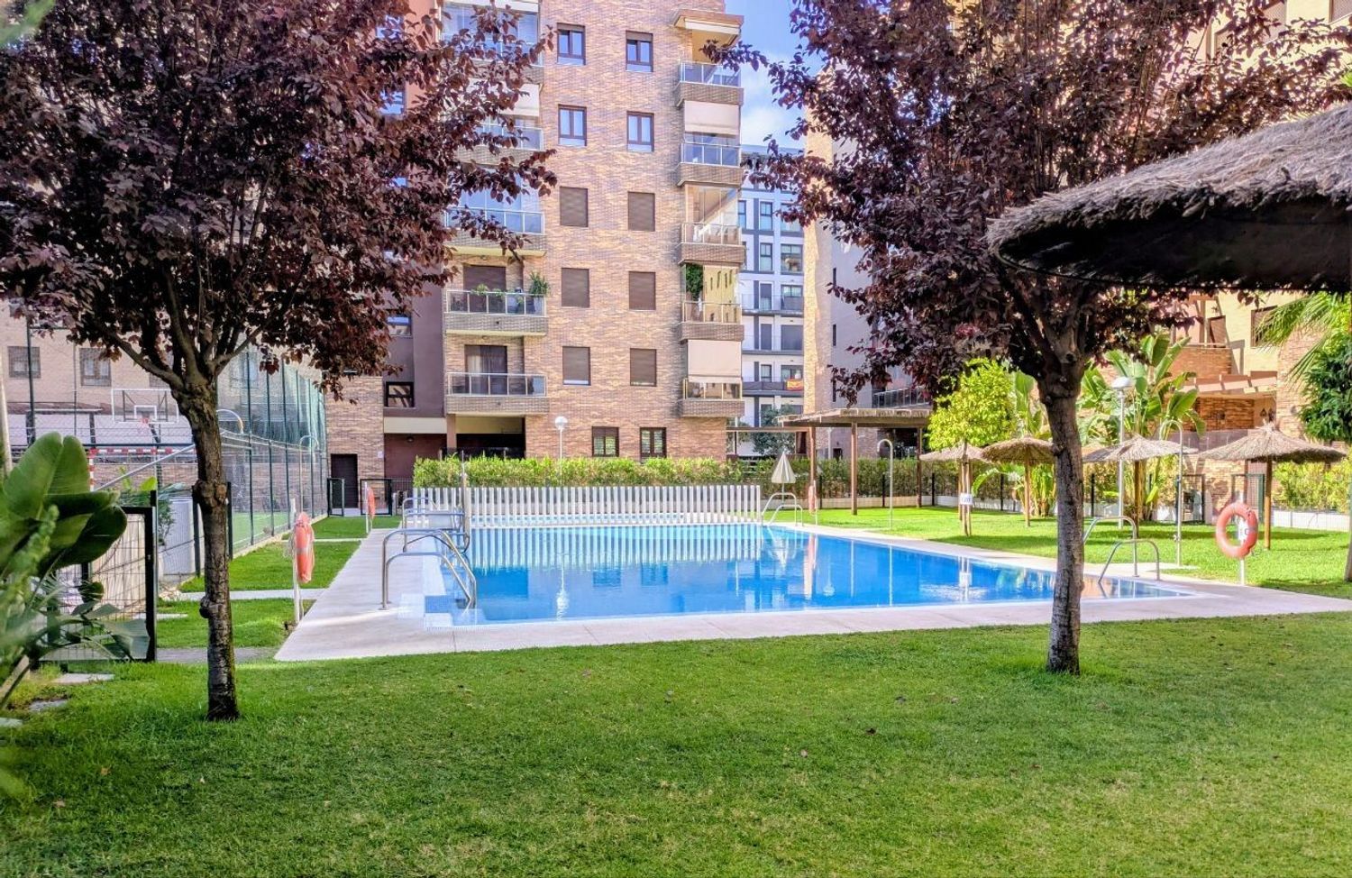 Piso en Calle Escritor Conde de Zamora, 10, Zoco - Poniente - Foto 2