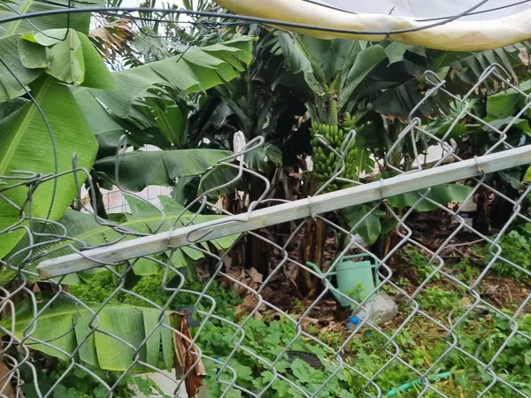 Casa terrera en Desaguaderos, 20 - Foto 8