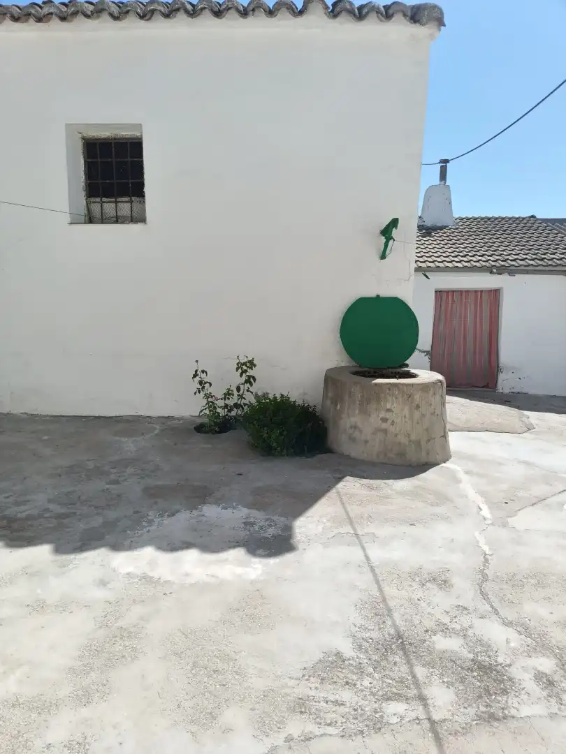 Planta baja en  Calle Bienvenido Madrigal 14 - Foto 6