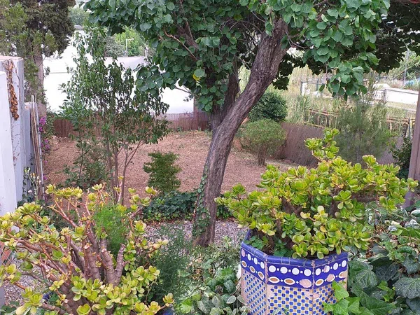 Casa independiente en Can Matas - Foto 12