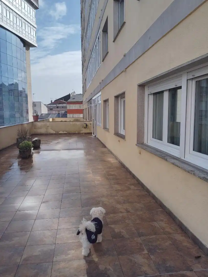 Piso en  Rúa Serra de Ancares 68 - Foto 18