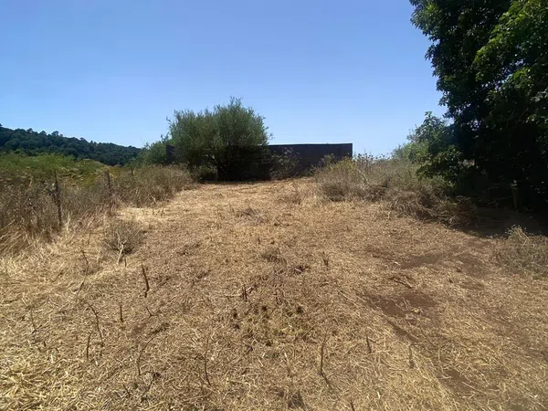 Finca rústica en Calle Mocolon, 59 Poligonoparcela - Foto 16
