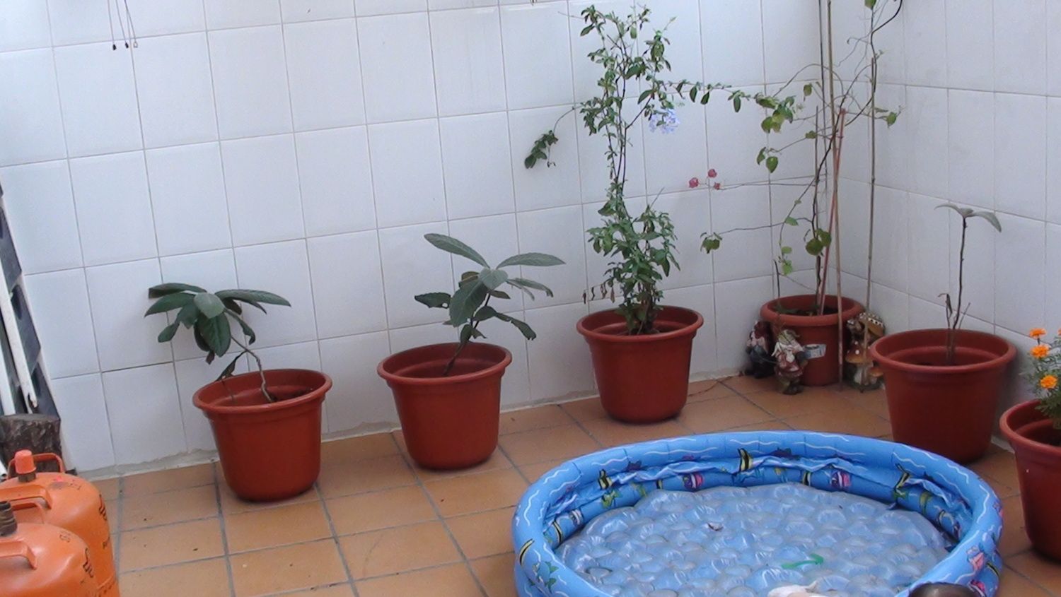 Dúplex en calle Iris, 4 - Foto 15