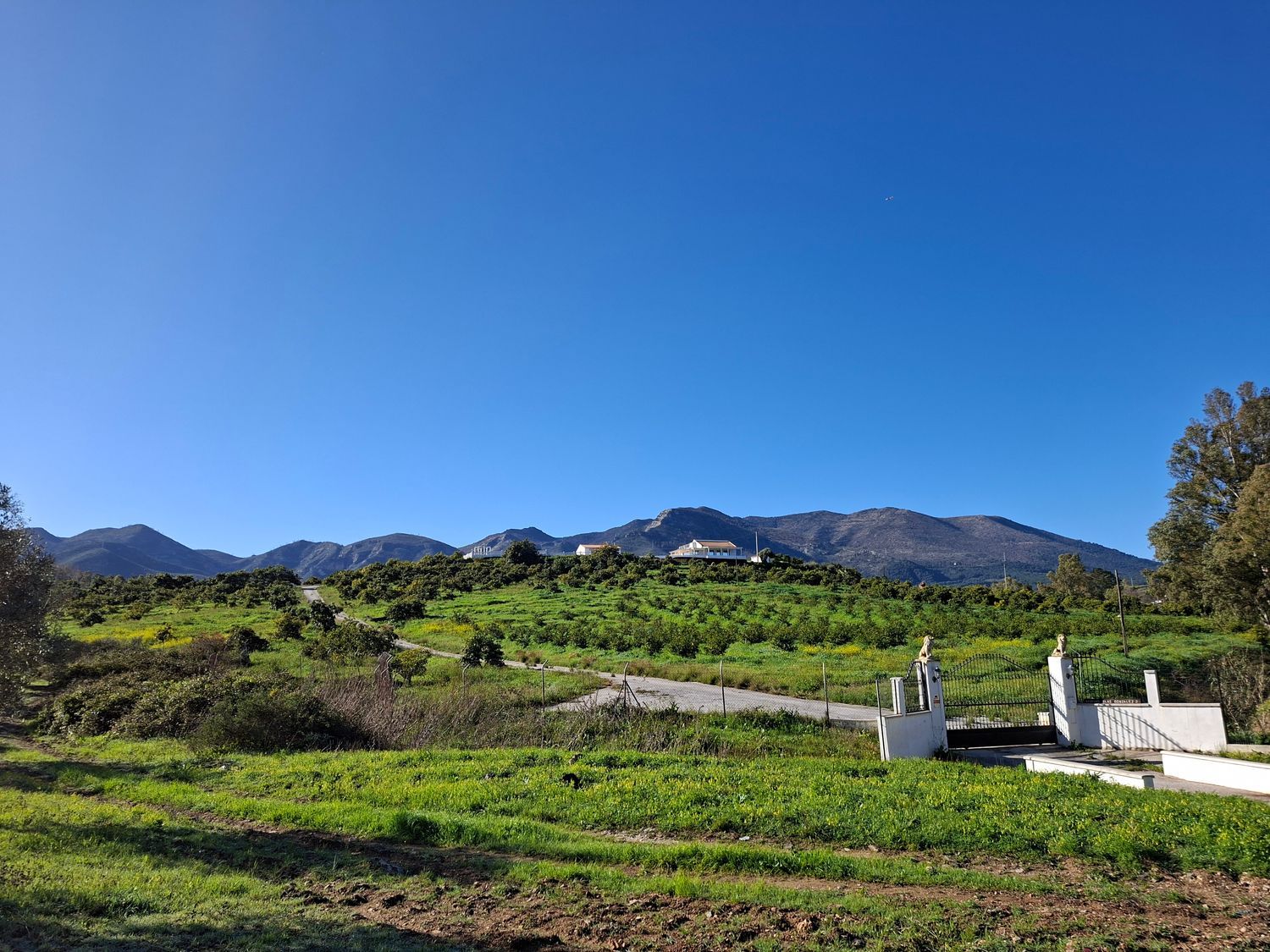 Finca rústica en Camino Arroyo Blas Gonzalez, 2, Buenavista-Lauro Golf, Buenavista-Lauro Golf - Foto 19