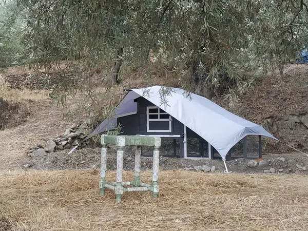 Finca rústica en Diseminado Cr Santillana, 8 - Foto 7