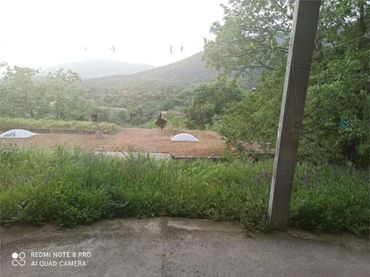 Chalet en valle del Jerte - Foto 7