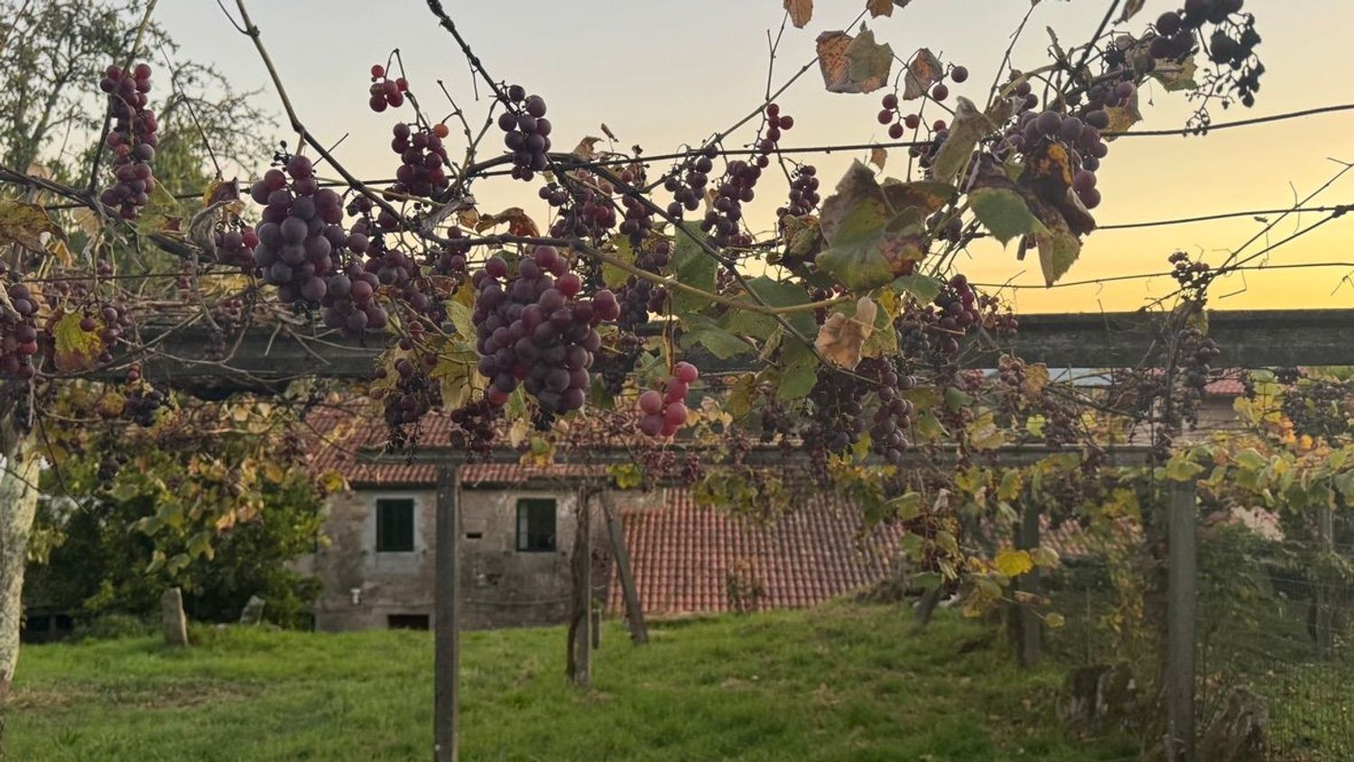 Casa rural en calle Ventosa, 22 - Foto 11