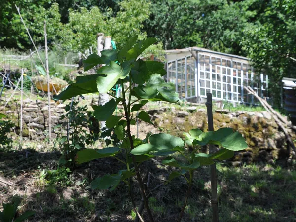 Casa rural en Lugar Carrizans-Escuadra, 17 - Foto 16
