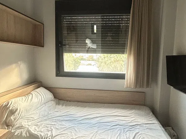 Estudio en avenida Nehemias, 26 - Foto 5