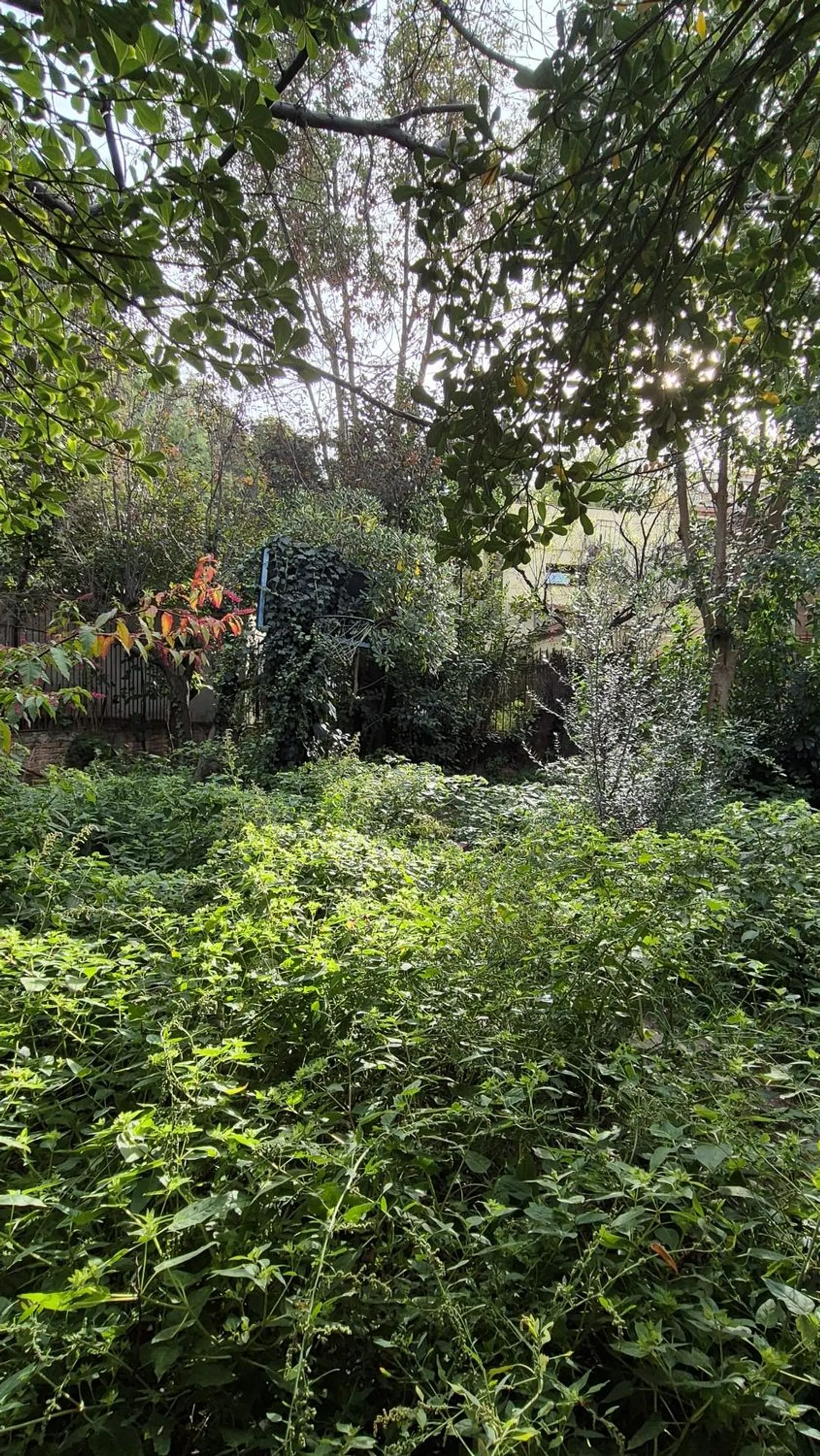 Piso en calle de Julià, 9 - Foto 26