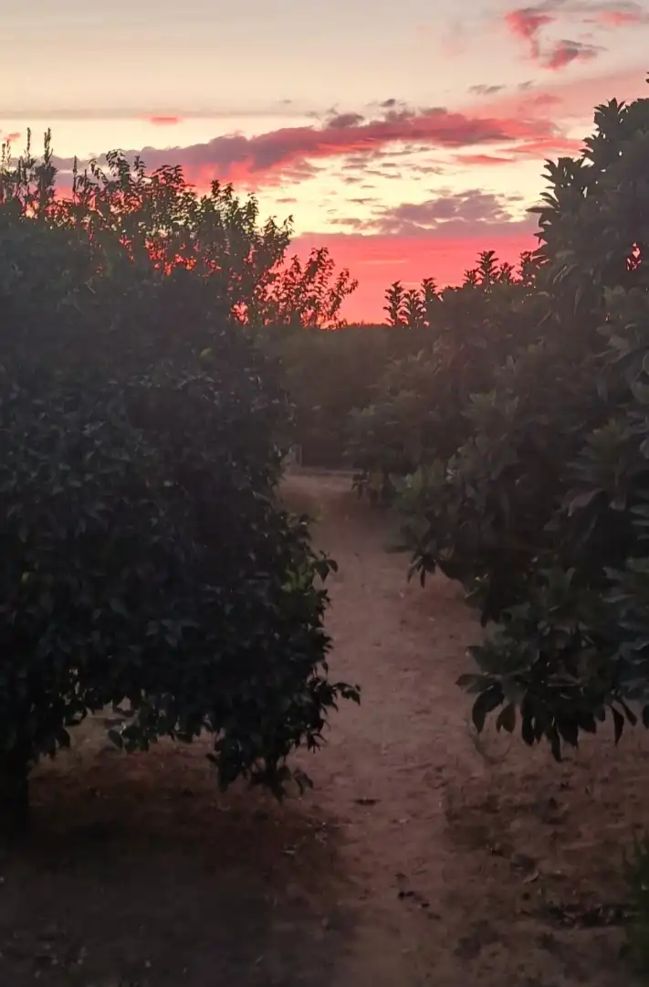 Finca rústica en  Calle Cruz de Montañina 61 - Foto 14