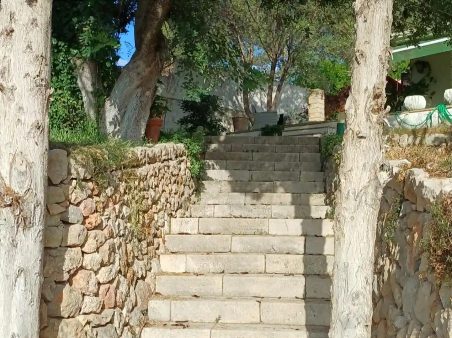 Finca rústica en  Camí Son Bauçanet 23 - Foto 5