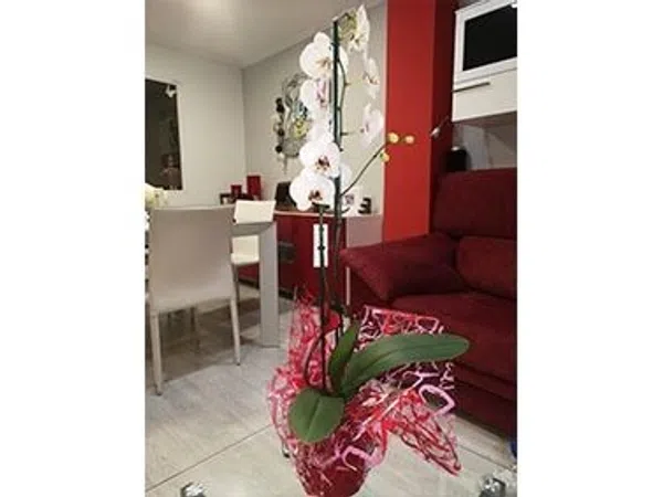 Ático en calle Isidoro Antillón, 109 - Foto 14