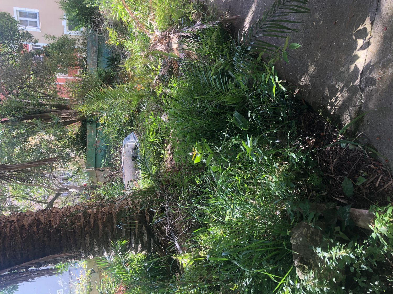 Casa independiente en calle Macías Picavea, 12 - Foto 3