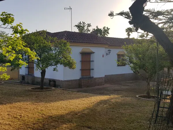 Casa o chalet independiente en Calle Calandria, 4, Carretera de Sevilla a Utrera, Carretera de Sevilla a Utrera - Foto 3