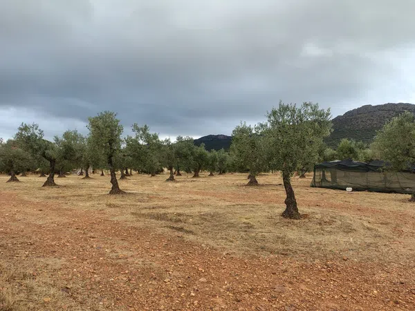 Cortijo en Cortijo en Ex-323 s/n - Foto 29
