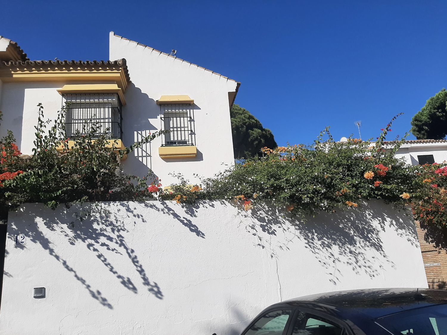 Casa o chalet independiente en Calle Jabeque, 12, El Manantial - Foto 5