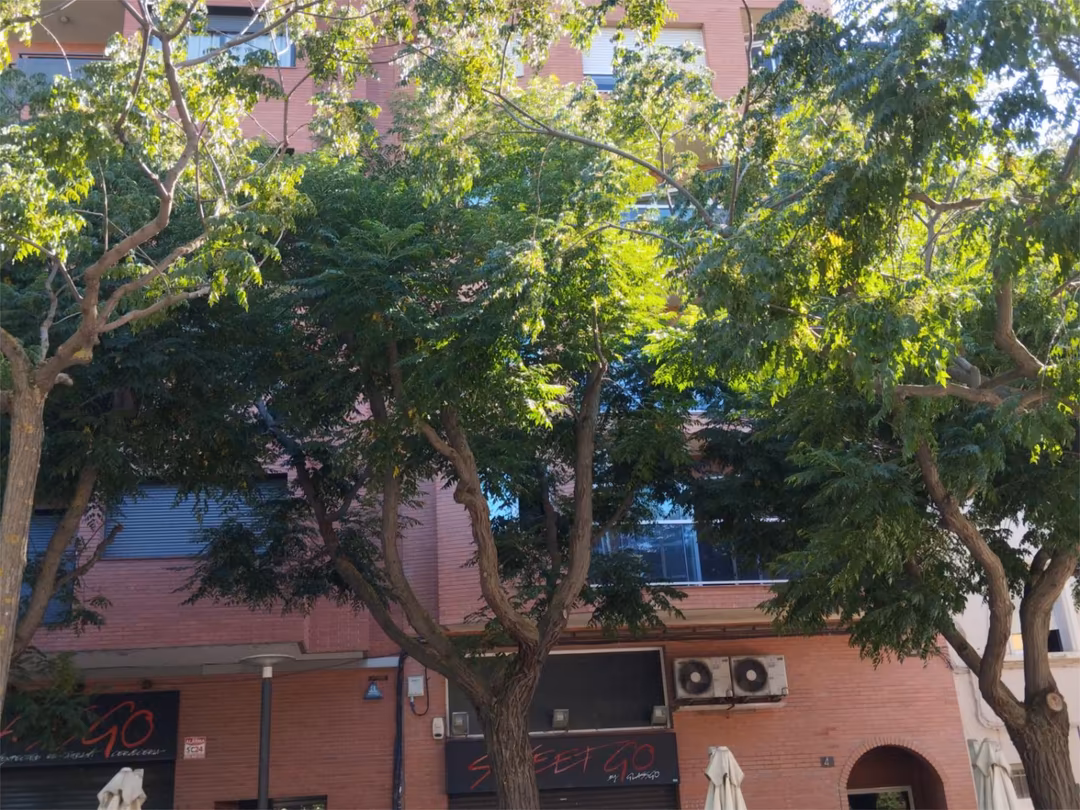 Dúplex en  Carrer Manuel de Montsuart 4 - Foto 6
