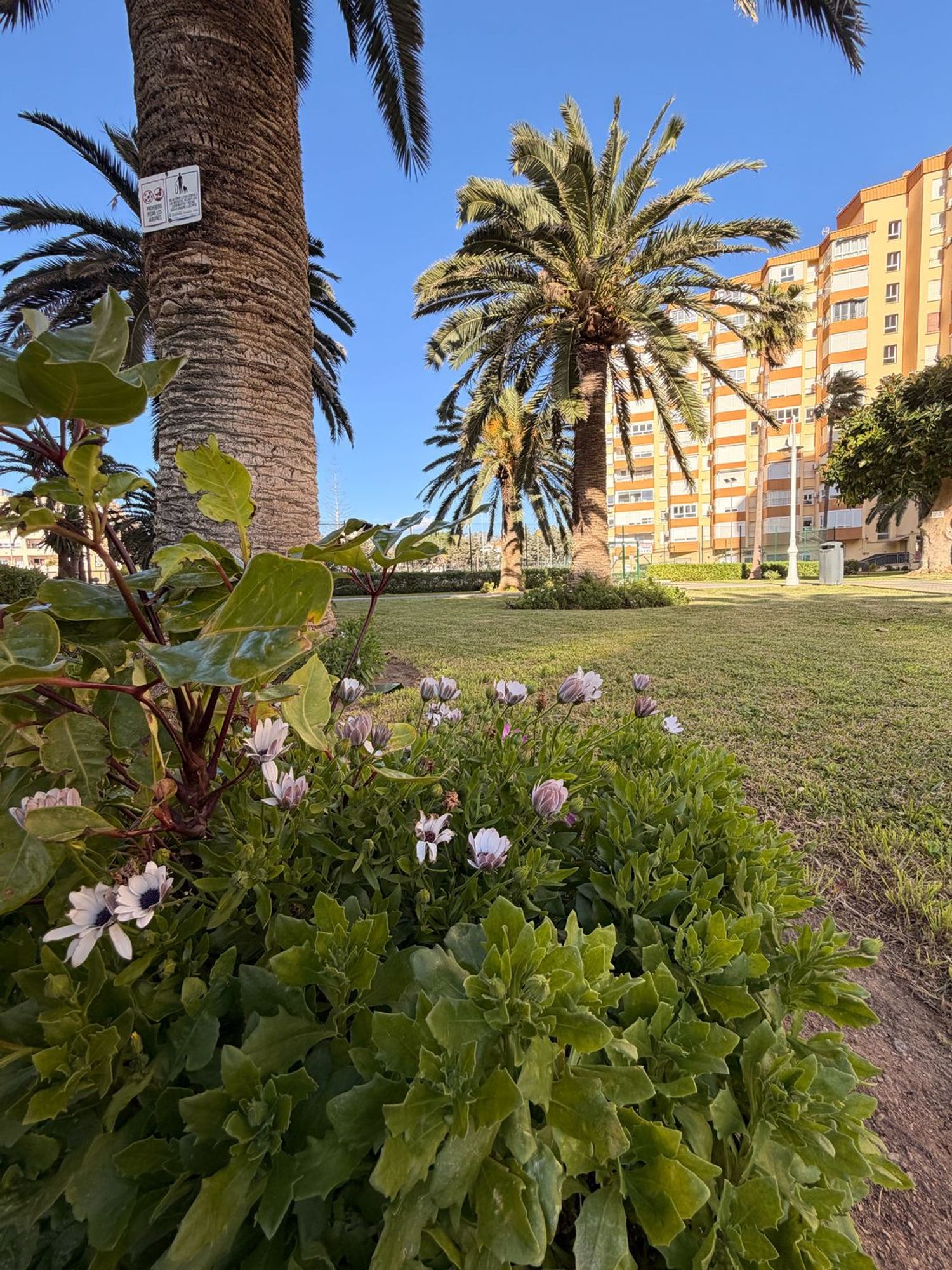 Estudio en Urb. Centro Internacional, Bau Hoffmann Cordoba, 73 - Foto 19