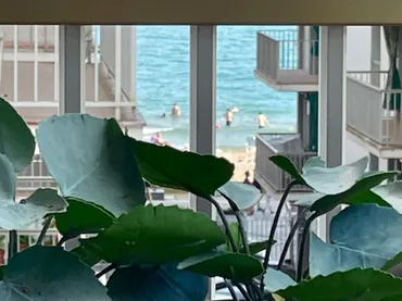 Piso en  Passeig Marítim de Sant Joan de Déu 34 - Foto 7