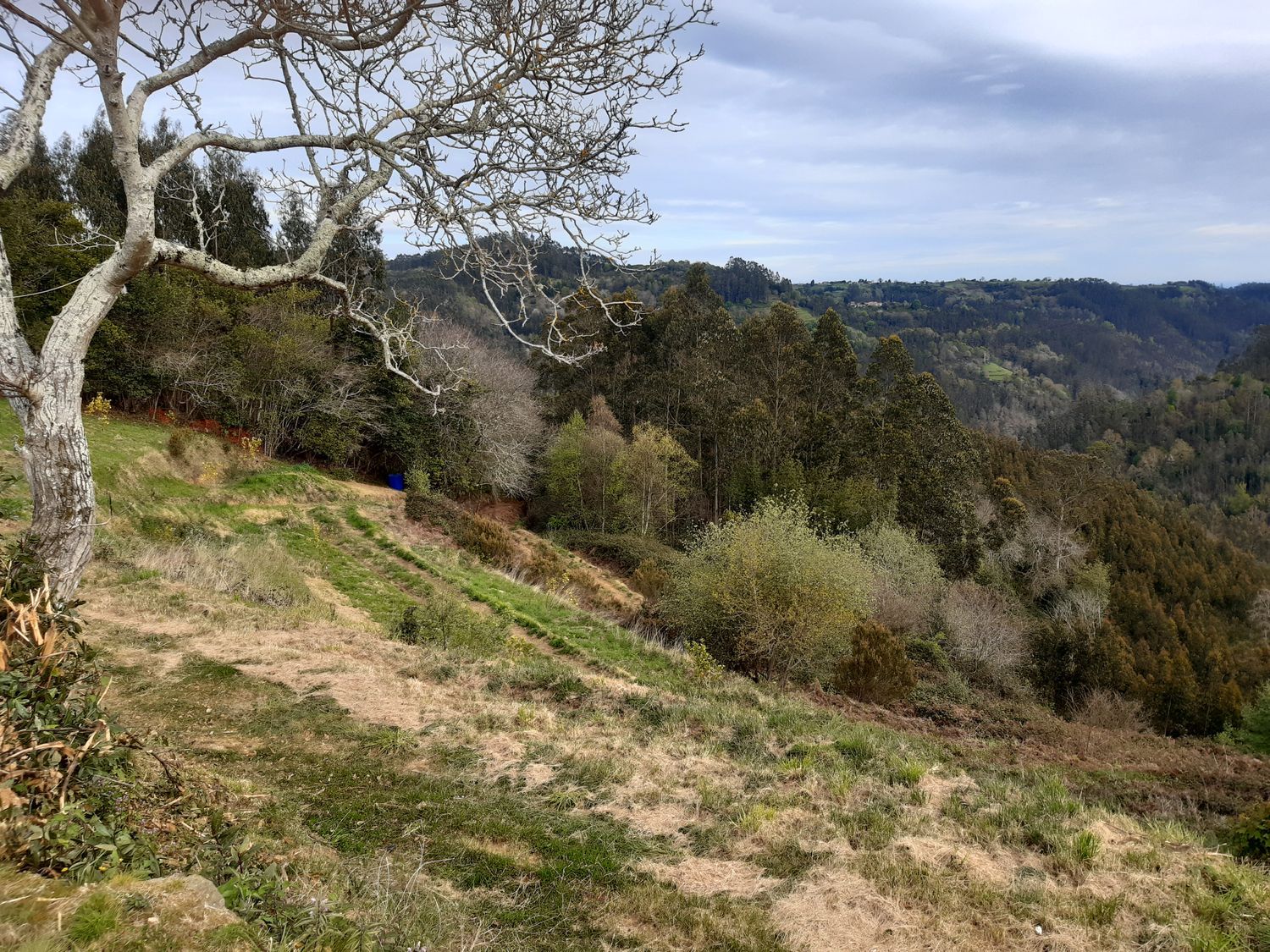 Finca rústica en Via Pivierda s/n - Foto 31