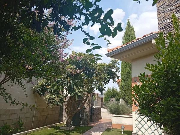 Casa o chalet independiente en Calle Virgen del Pilar, 40 - Foto 13