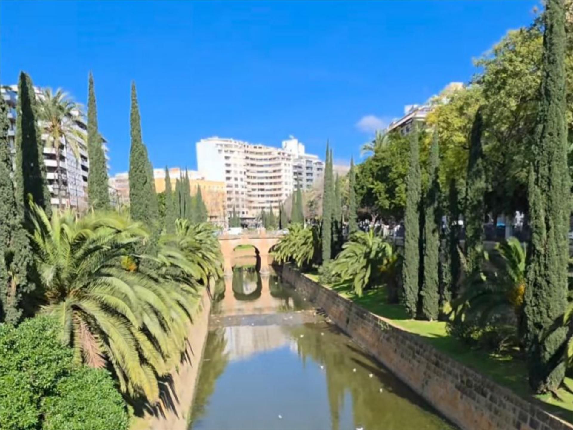 Piso en  Passeig de Mallorca 20