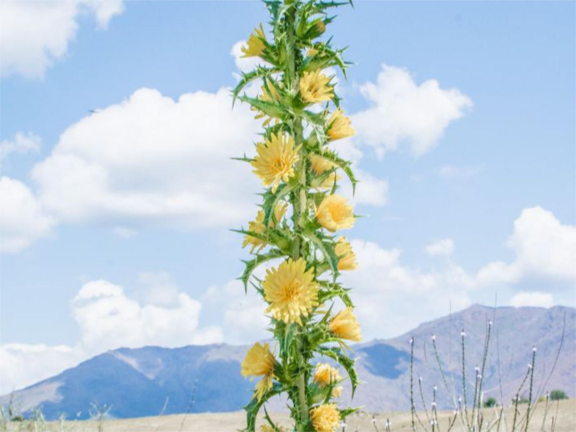 Piso en  Calle Copa Ryder 22 - Foto 45