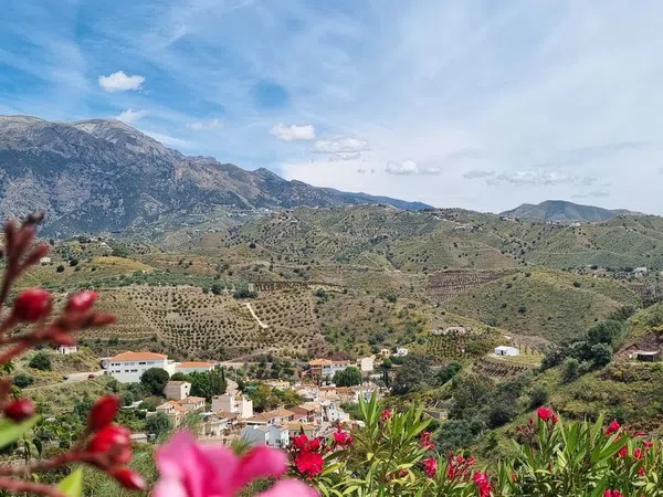 Casa rural en Cañada de los Rosales, Viñuela, Málaga, 10 - Foto 23