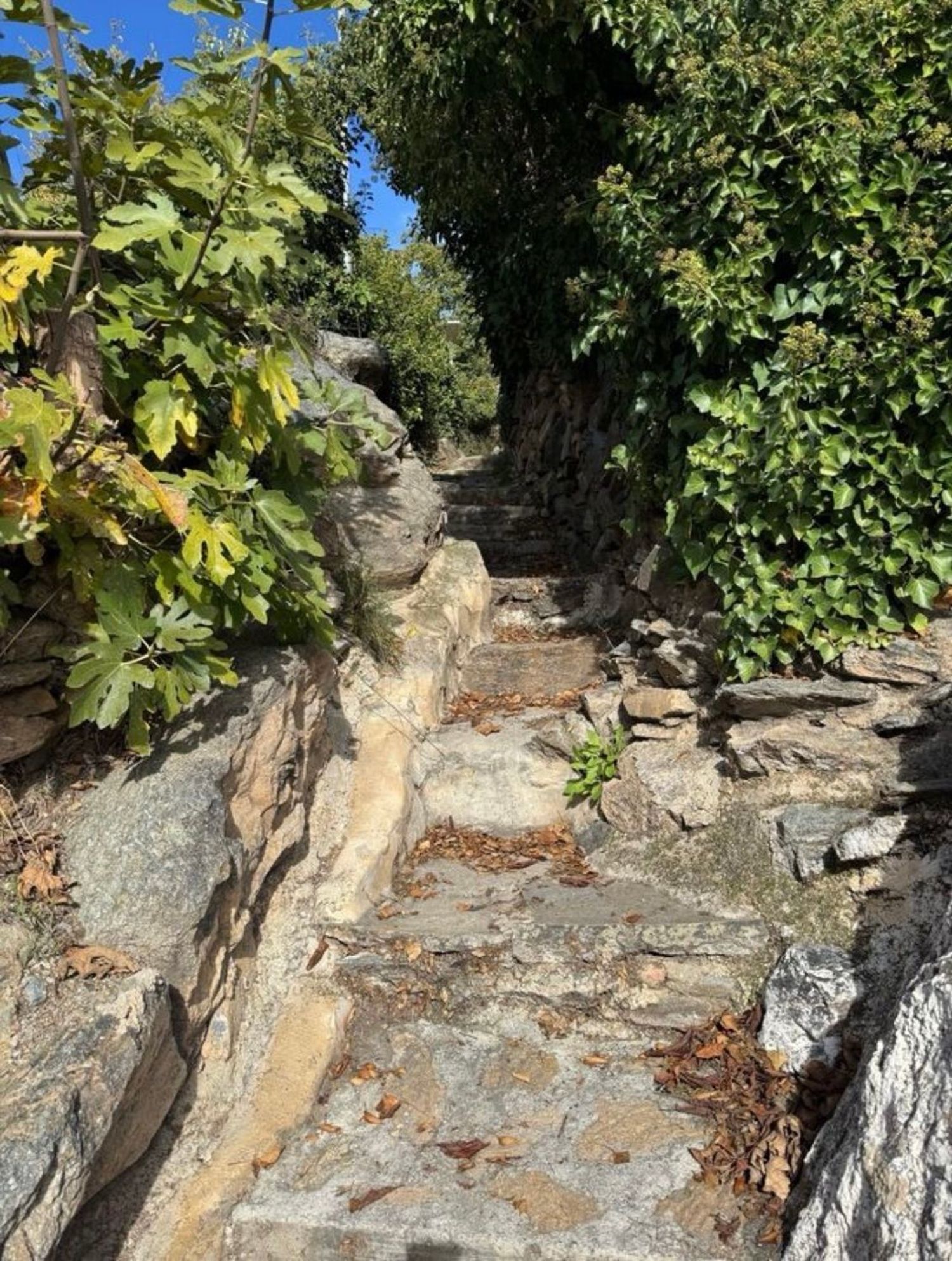 Casa de pueblo en Calle Peñuelas, 24 - Foto 4