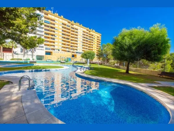 Estudio en Calle Altos Campoamor, 11, Campoamor - Foto 13