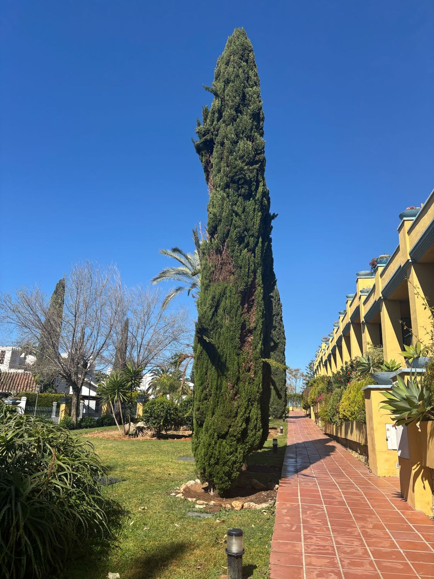 Piso en Avenida Reina Doña Sofia, 1, Bahía de Marbella - Foto 26