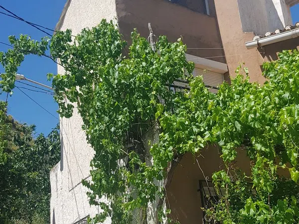 Casa rural en Barriada de Los Raspajos., 1 - Foto 23
