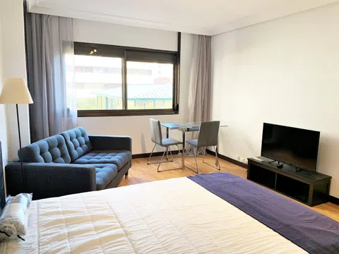 Estudio en calle de Núñez de Balboa, 114 - Foto 1