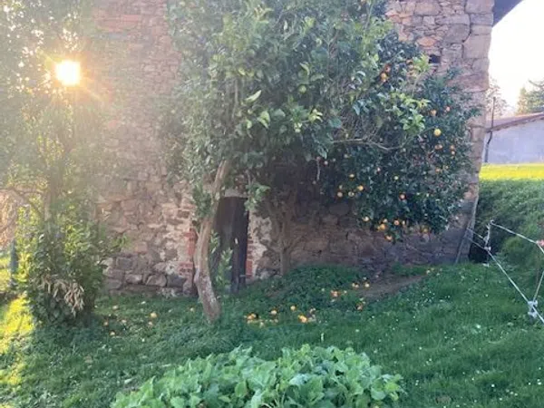 Casa de pueblo en Poligono 98 Parcela, 338 - Foto 4