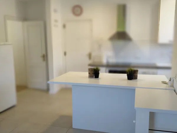 Piso en avenida del Pintor Joaquín Sorolla, 10 - Foto 12