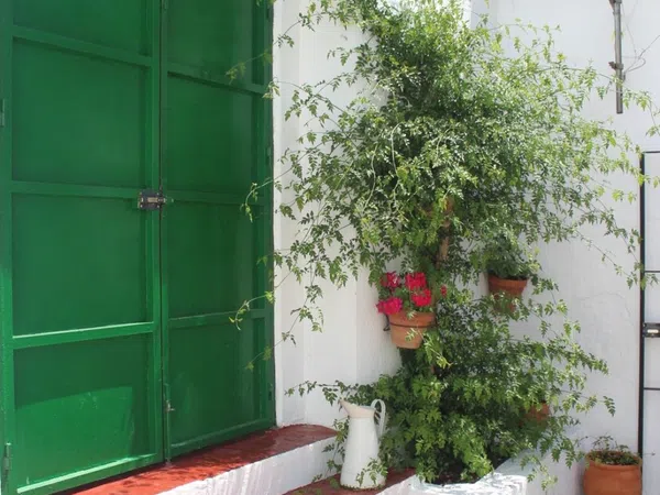 Casa rural en Calle Ordoñez Rincon, 9 - Foto 1