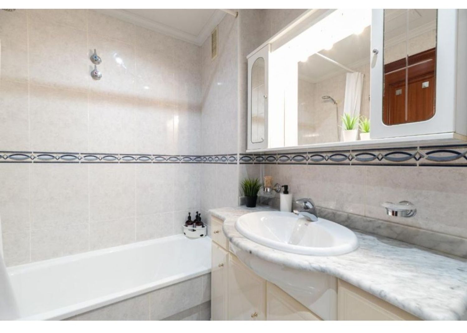 Estudio en avenida de Castrelos, 240 - Foto 8