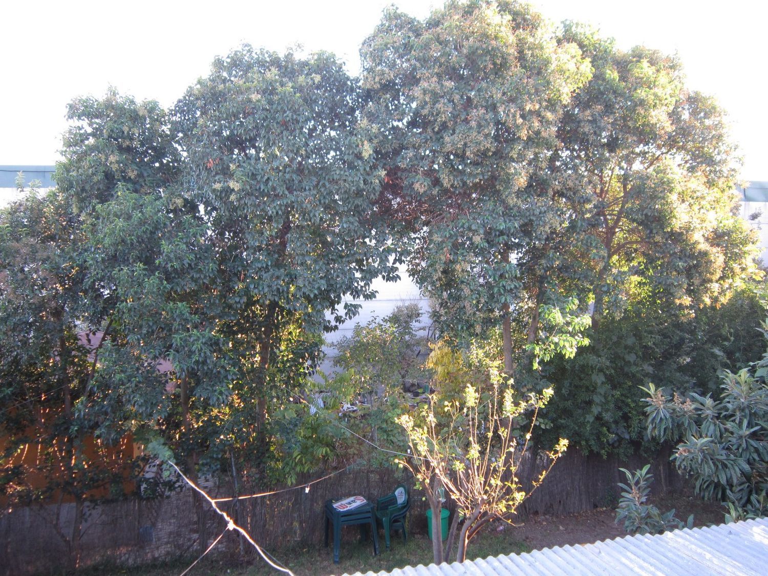 Casa rural en Diseminado, 5 - Foto 13