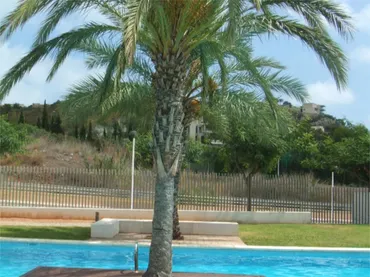 Piso en  Carrer el Rall 8 - Foto 47