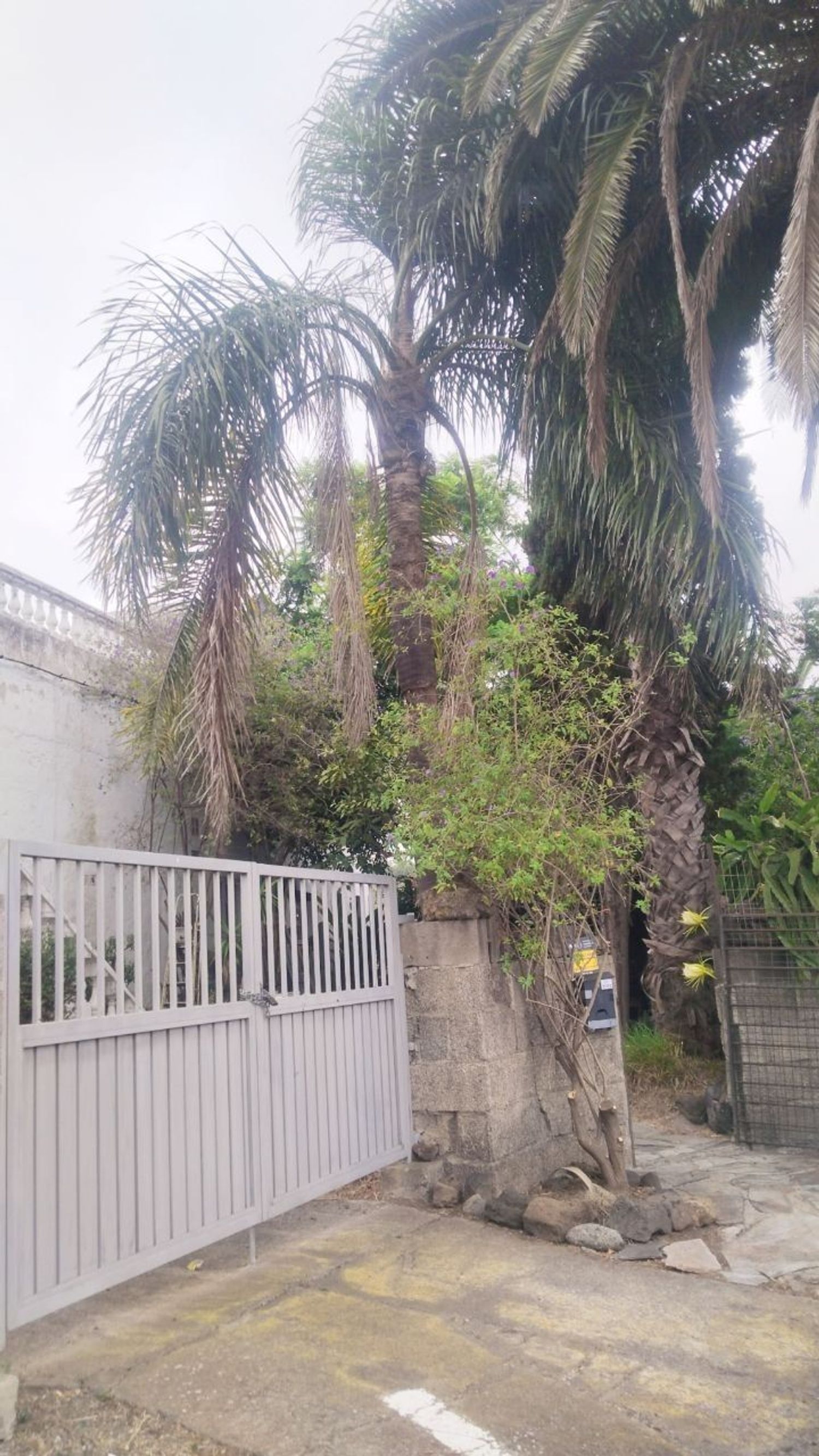 Finca rústica en Carretera Enlace el Ramal, 18 L, Centro, Centro - Foto 40
