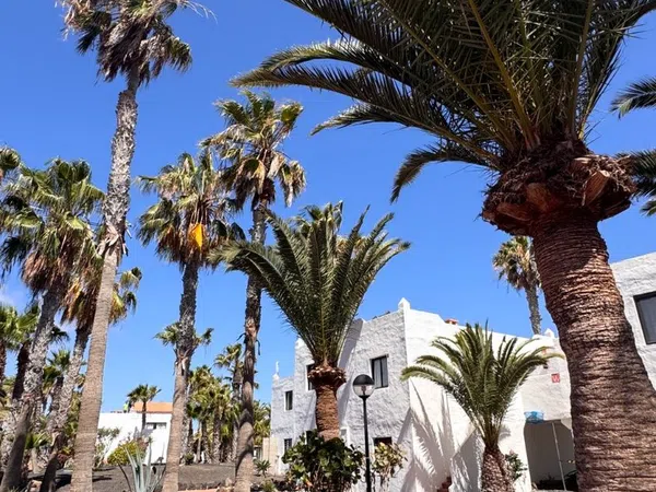 Piso en Calle Maxorata, 2, Corralejo, Corralejo - Foto 9