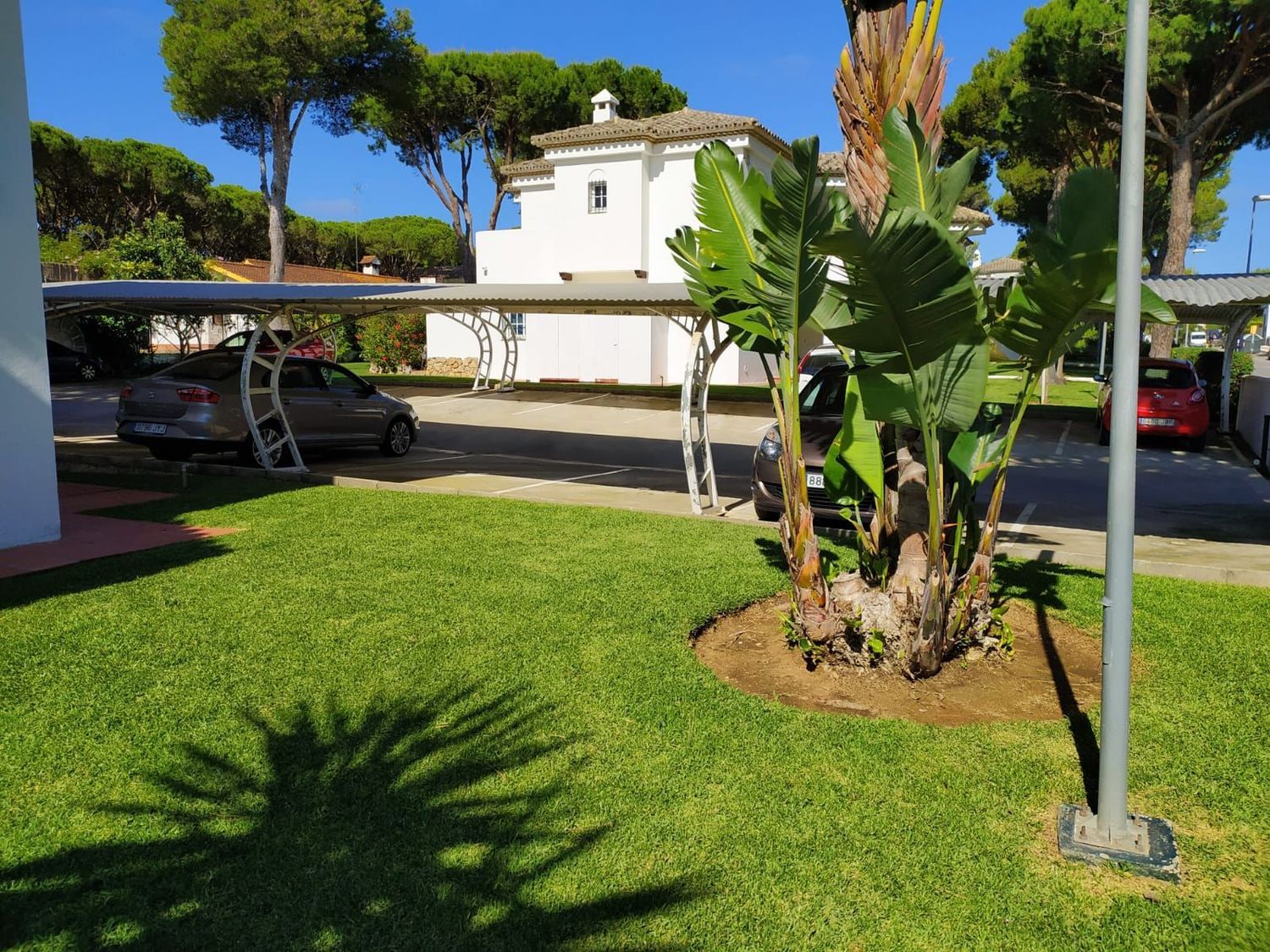 Piso en Urbanizacion Complejo las Quintas, 3, La Barrosa, La Barrosa - Foto 3